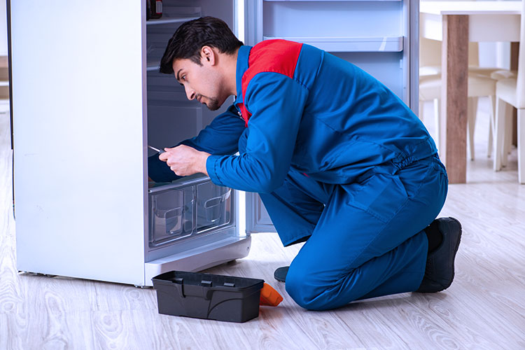 Плюсы профессионального ремонта холодильников